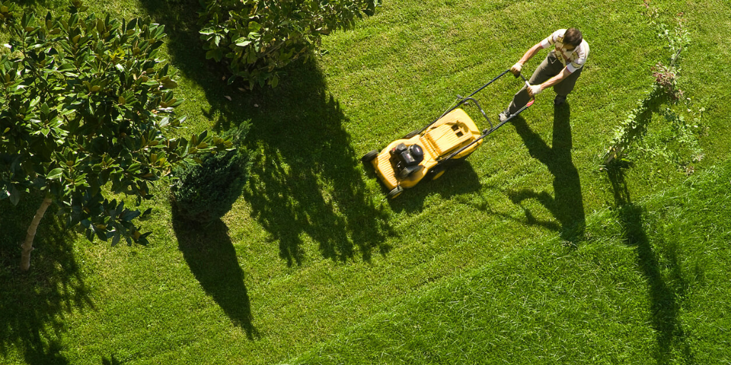 Beat The Heat: Essential Tips For Keeping Your Lawn Healthy In Summer